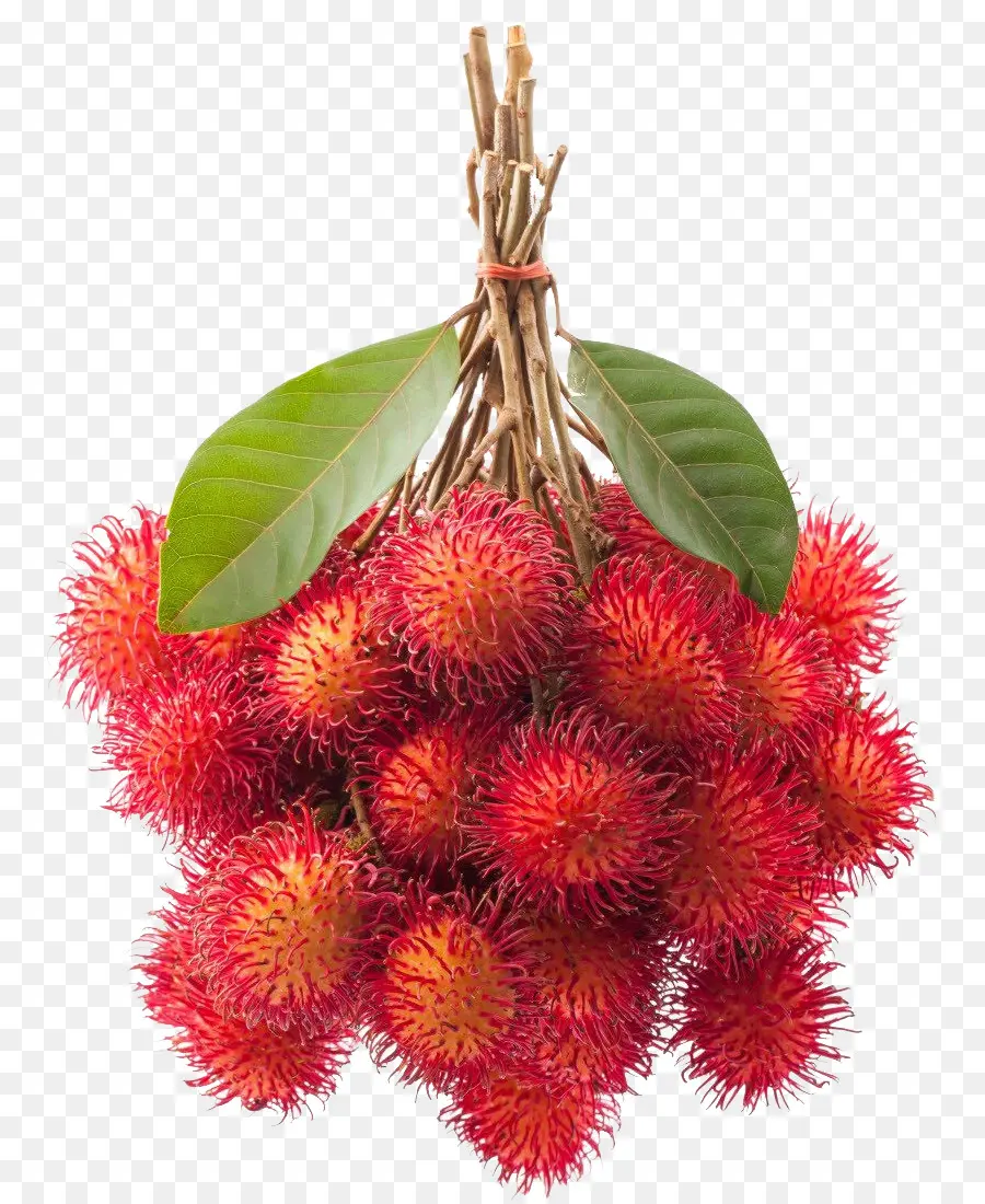 El Rambutan，La Fruta PNG