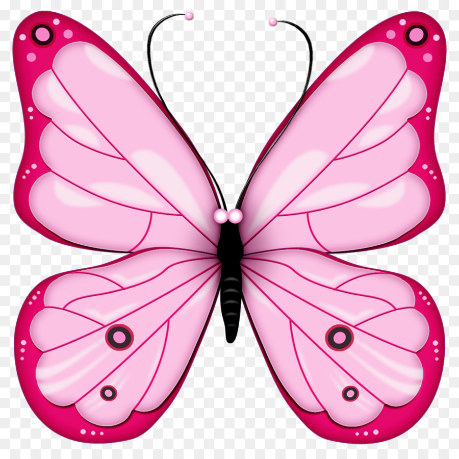 Mariposa，Rosa PNG