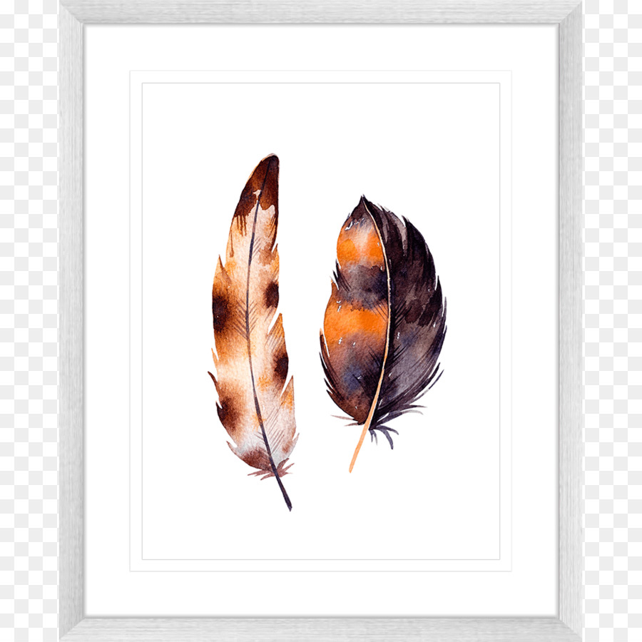 Pluma，Blanco PNG