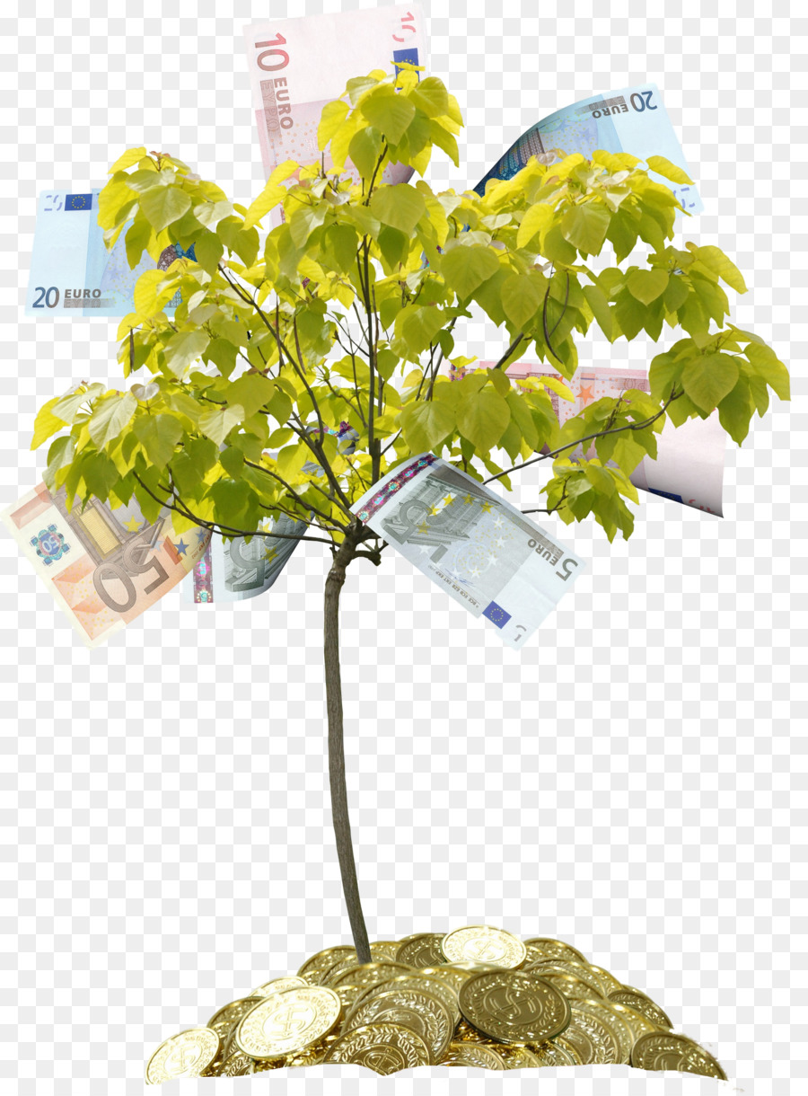 árbol Del Dinero，Monedas PNG