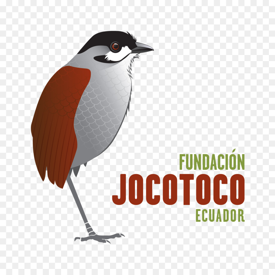 Fundación De Conservación Jocotoco，Loja PNG