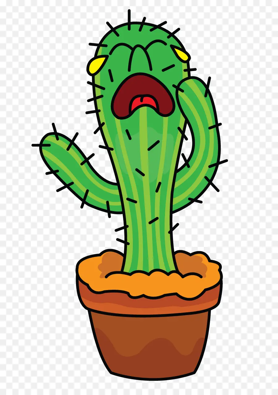 Cactus，Dibujo PNG