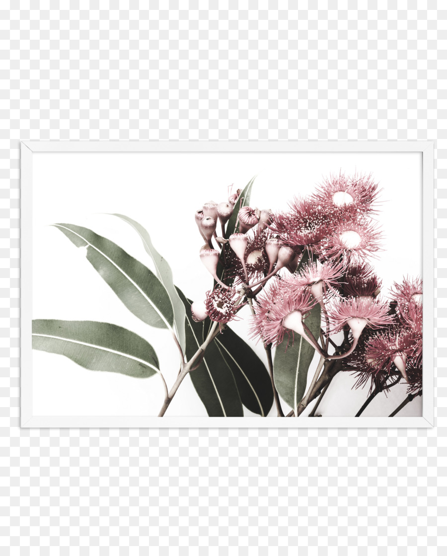 árboles De Goma，Diseño Floral PNG