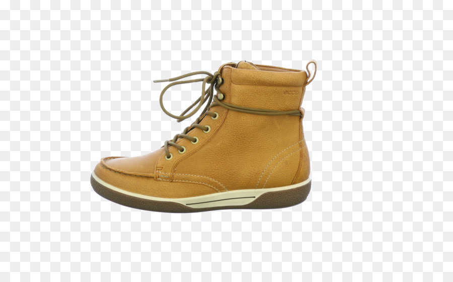 Ante，Zapato PNG