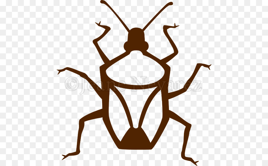 Insecto，Línea PNG