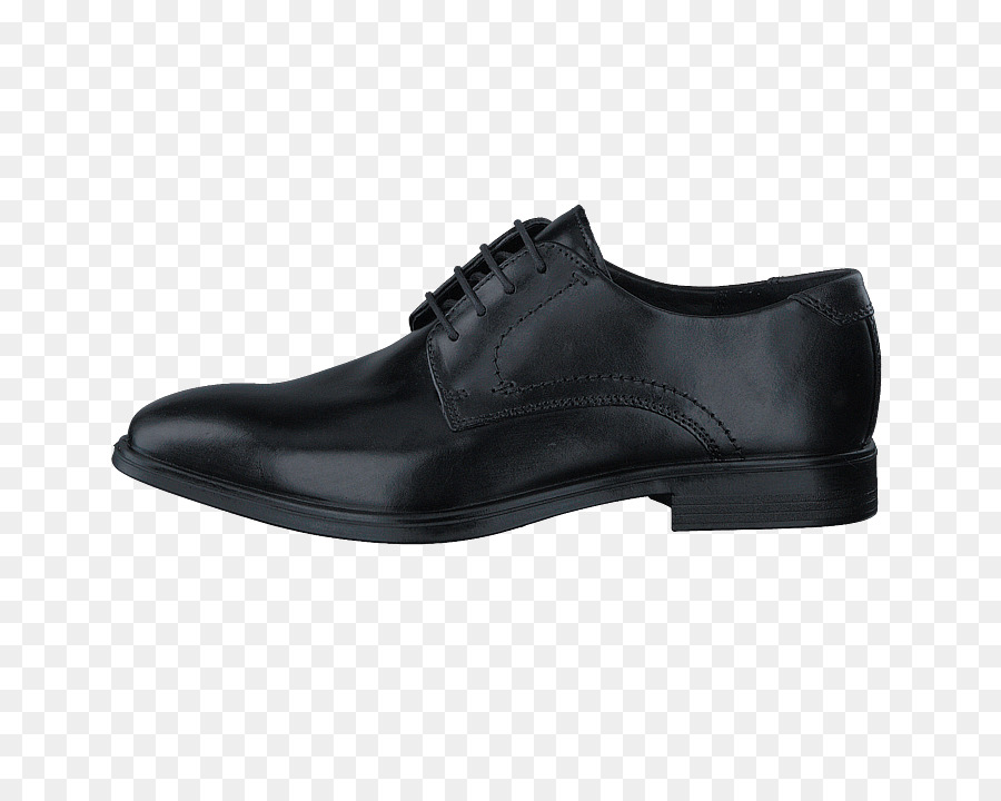 Zapato，Zapato De Oxford PNG