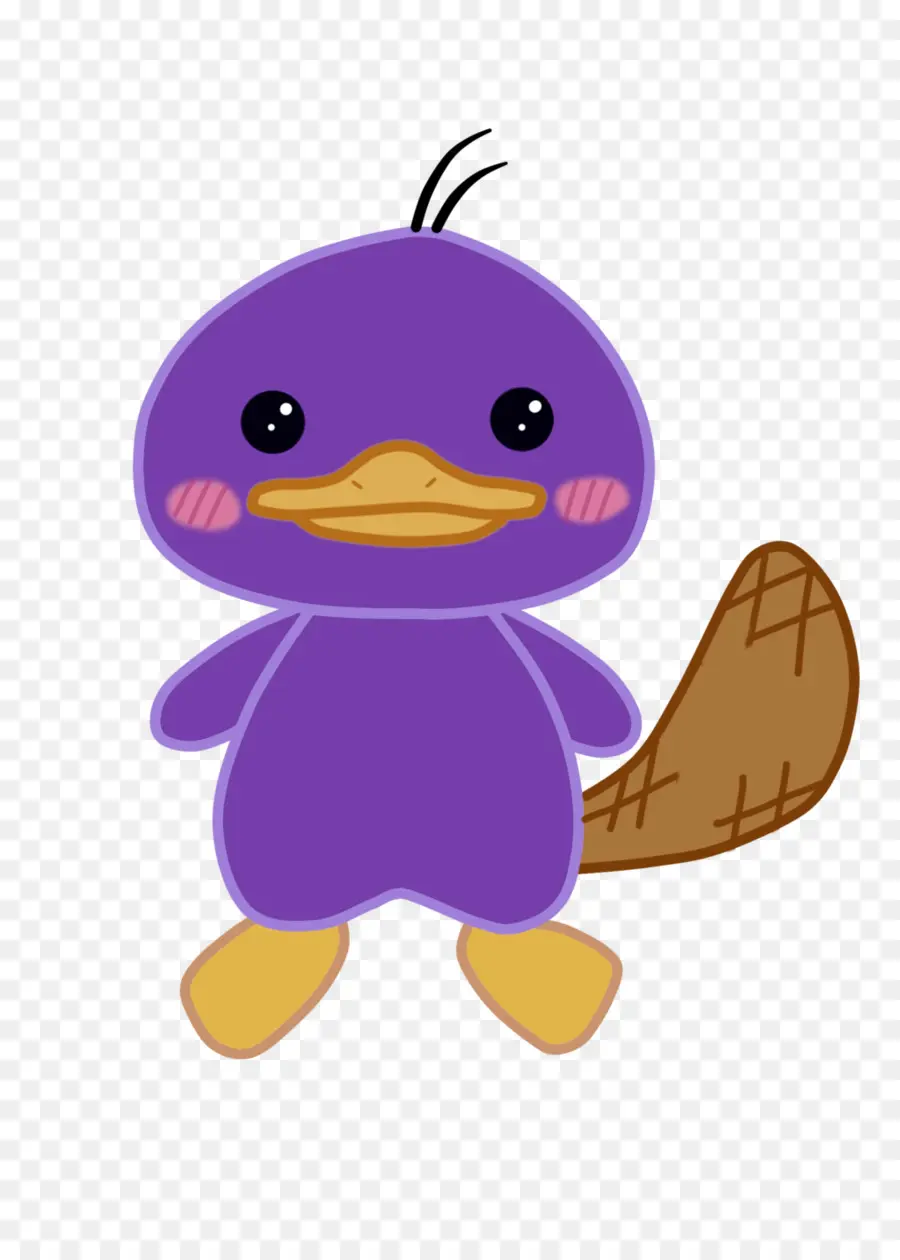 Ornitorrinco，Pato PNG