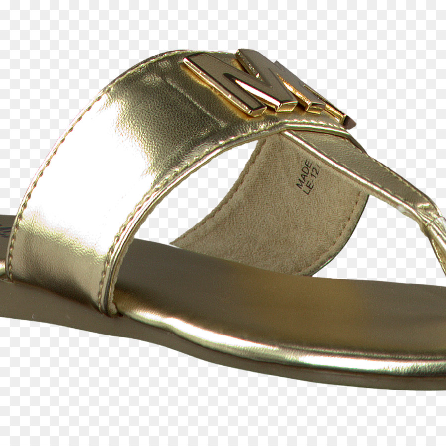 Zapato，Hebillas De Correa PNG