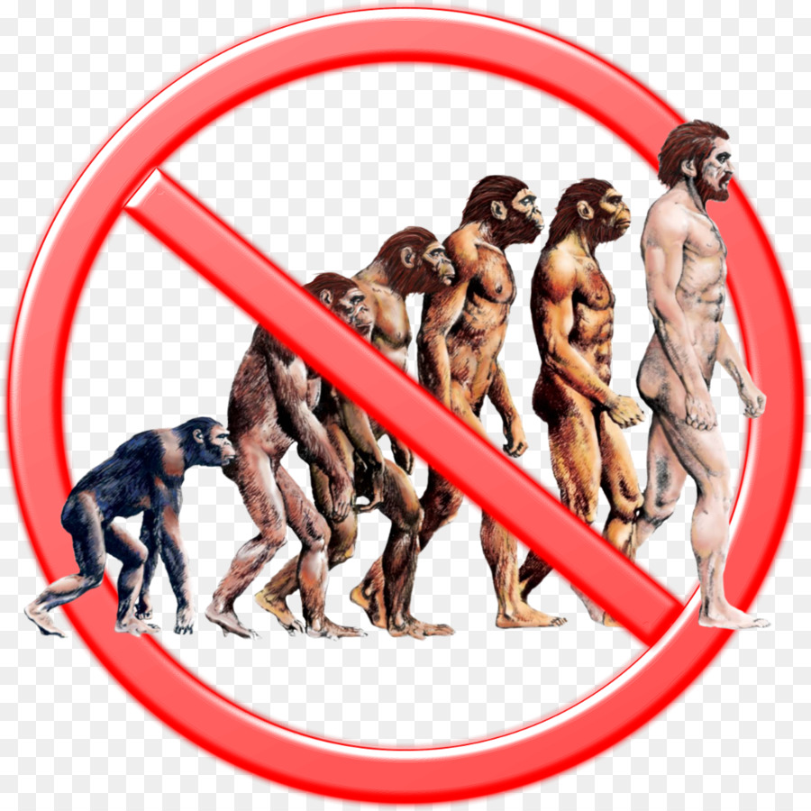 Evolución Humana，Evolución PNG
