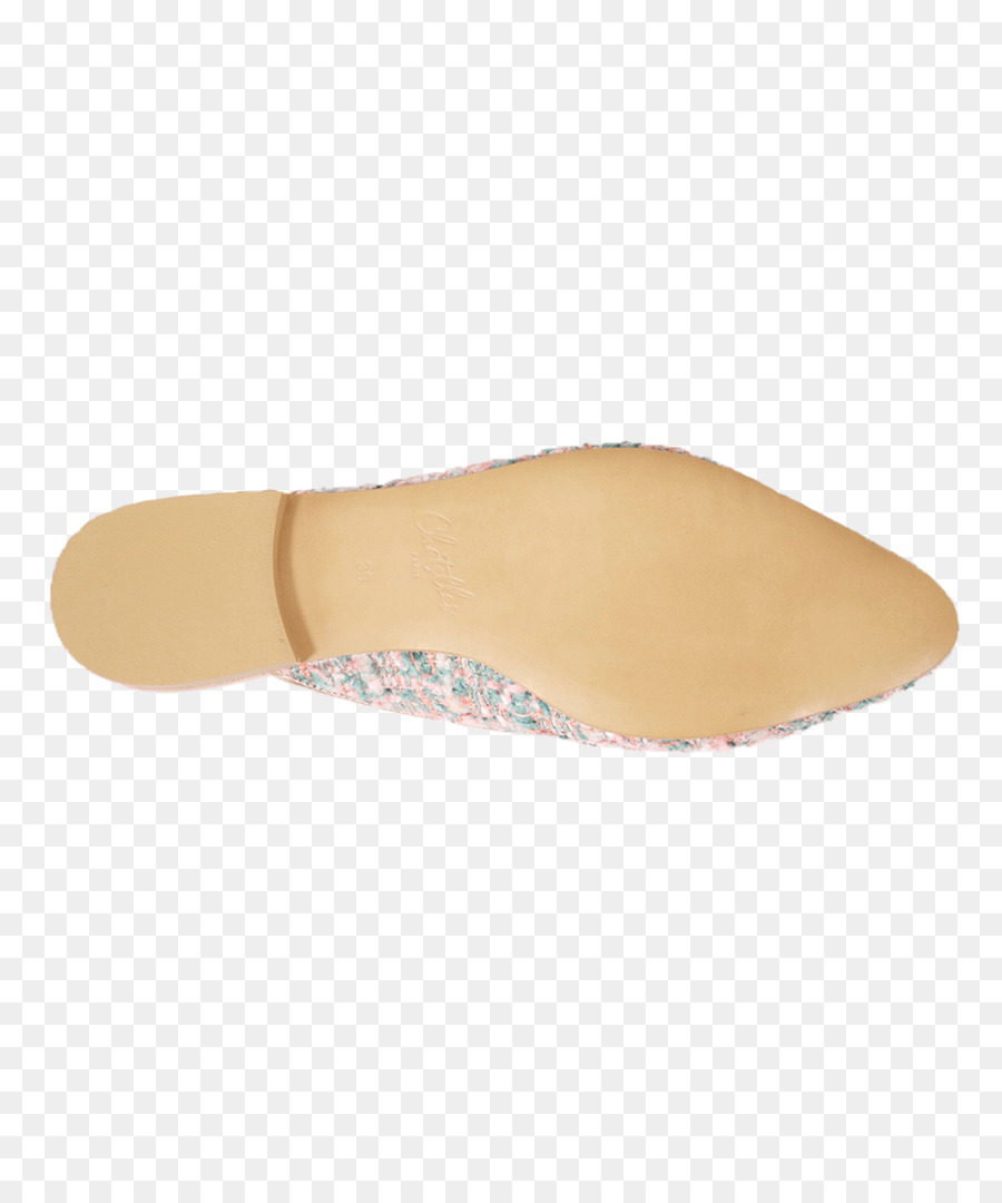 Zapatilla，Zapato PNG