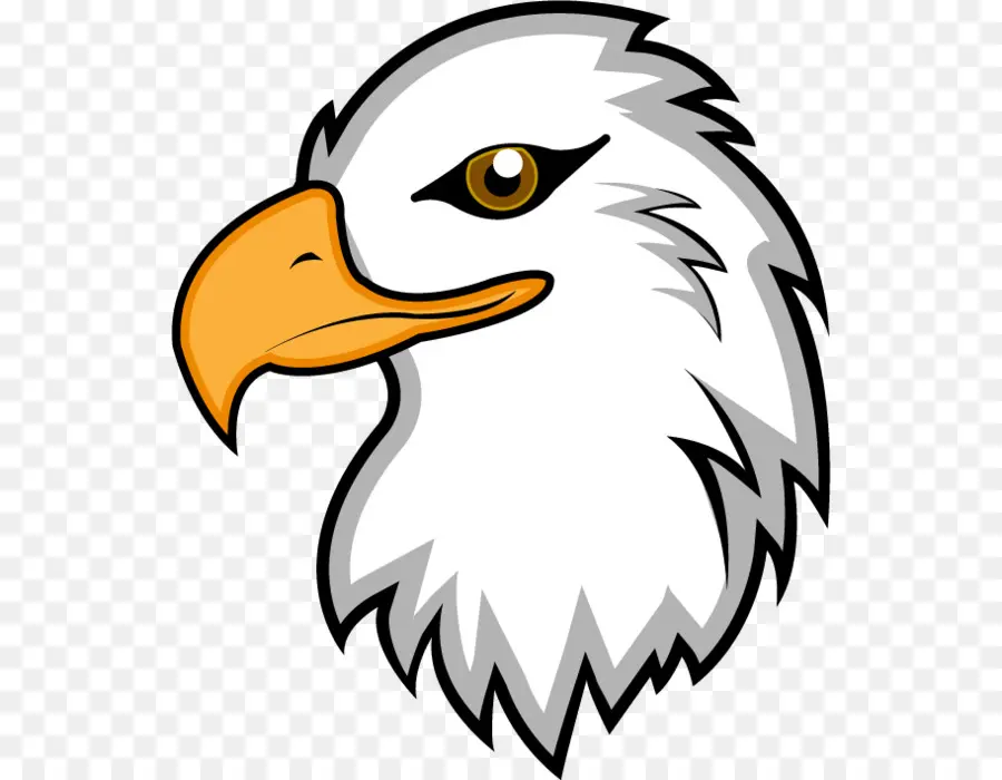 Águila Calva，águila PNG