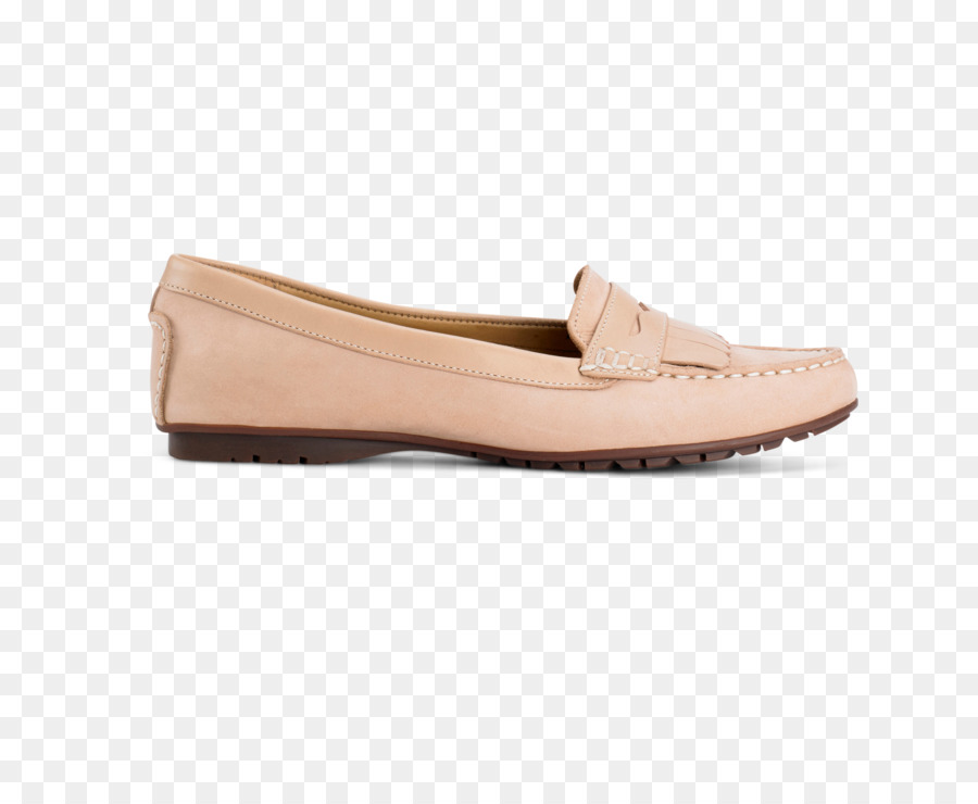 Zapato Slipon，Zapato PNG