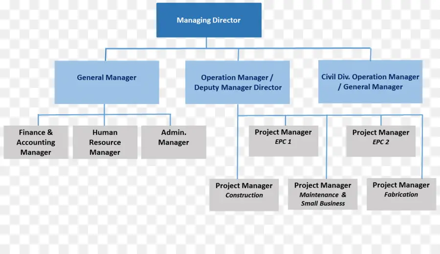 Organización，Estructura Organizativa PNG