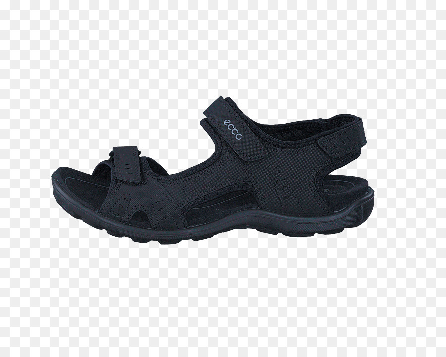 Zapato，Sandalia PNG