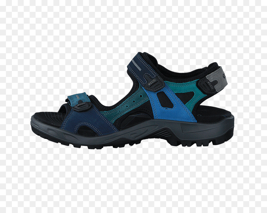 Zapato，Sandalia PNG