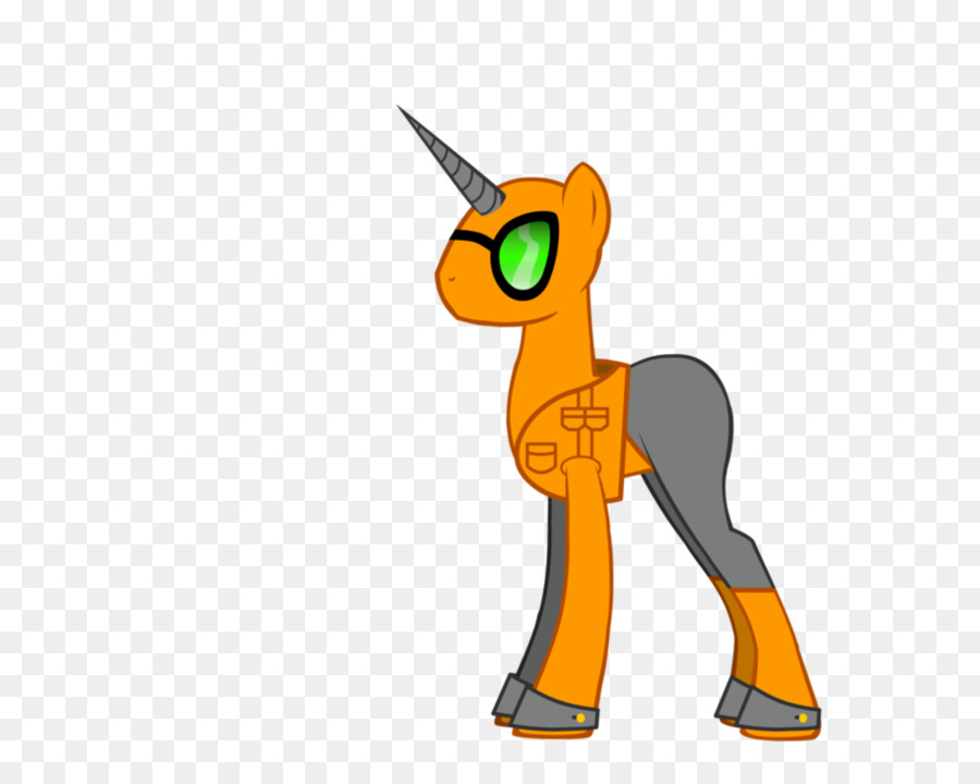 Gato，Caballo PNG