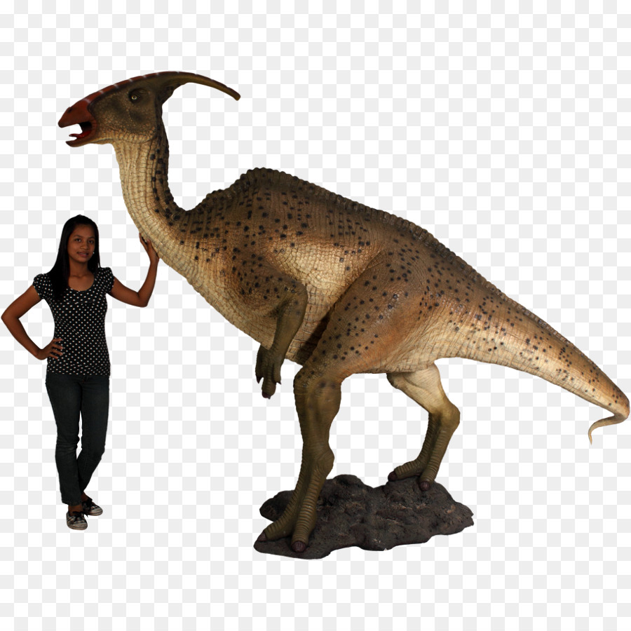 Tyrannosaurus，Parasaurolophus PNG