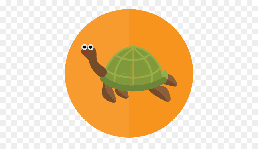 Tortuga，Verde PNG