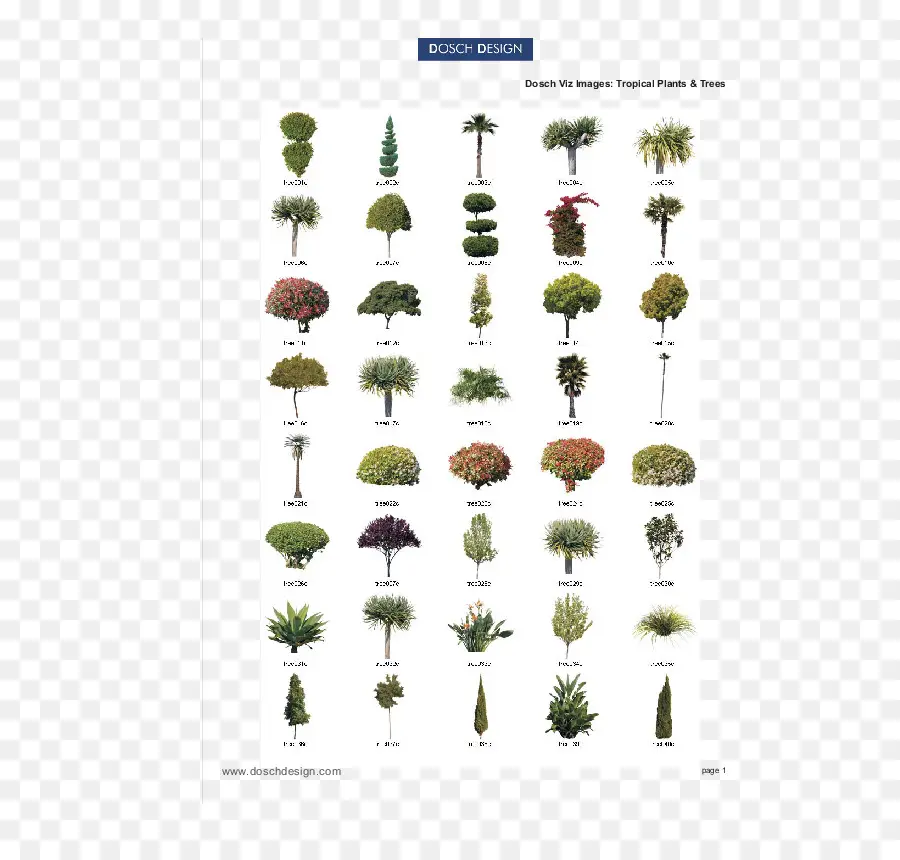 Plantas，árbol PNG