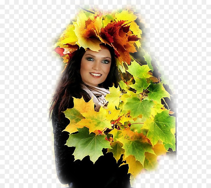 Otoño，Diseño Floral PNG