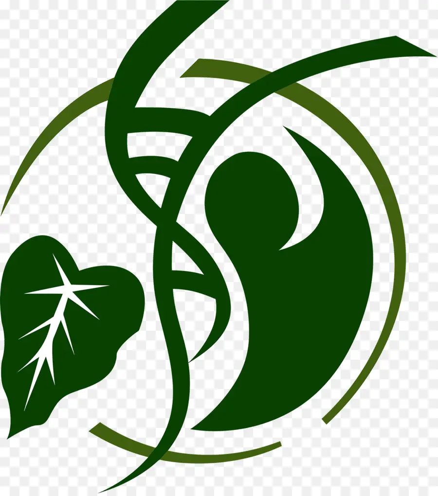 Logotipo Verde，Naturaleza PNG