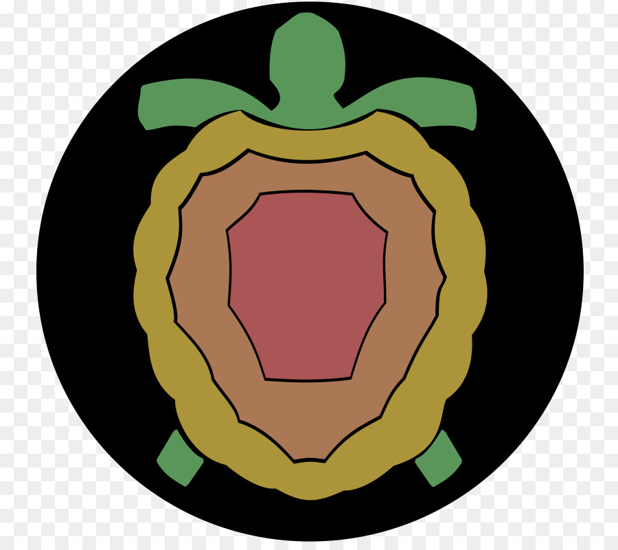 Tortuga，Reptil PNG