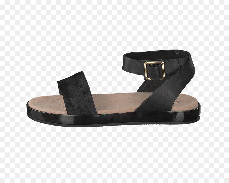 Zapato，Sandalia PNG