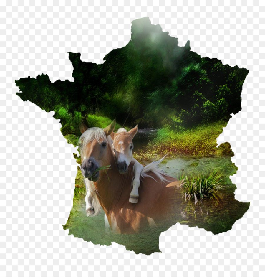 Francia，Royaltyfree PNG