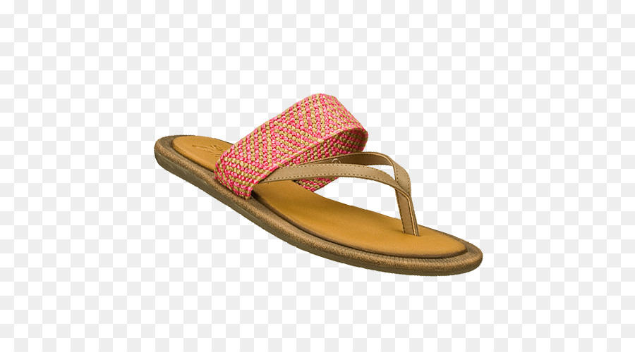 Chancletas，Deslizar PNG