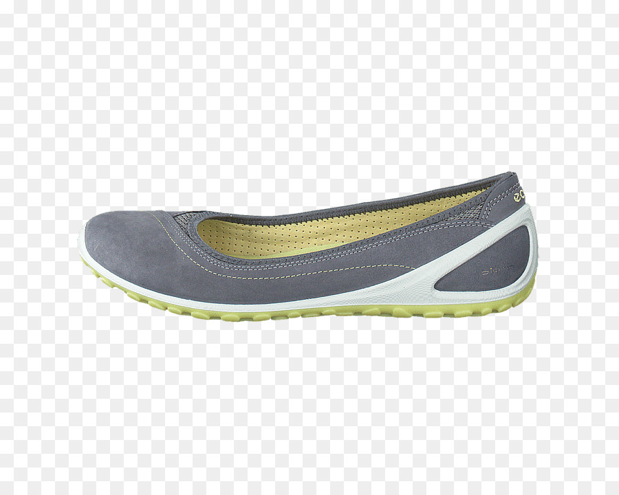 Zapato，Plano De Ballet PNG