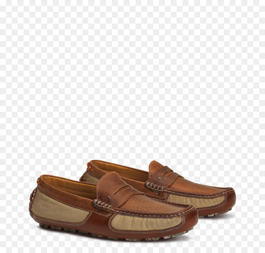 Slip On Shoe，Ante PNG