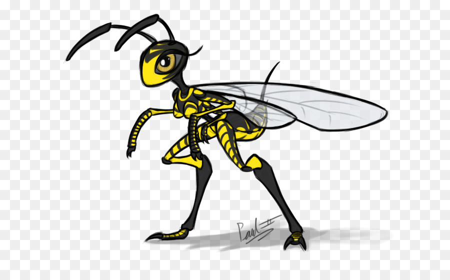 Mosquito，Bicho PNG