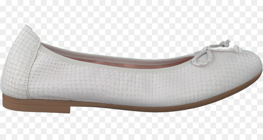 Plano De Ballet，Zapato PNG