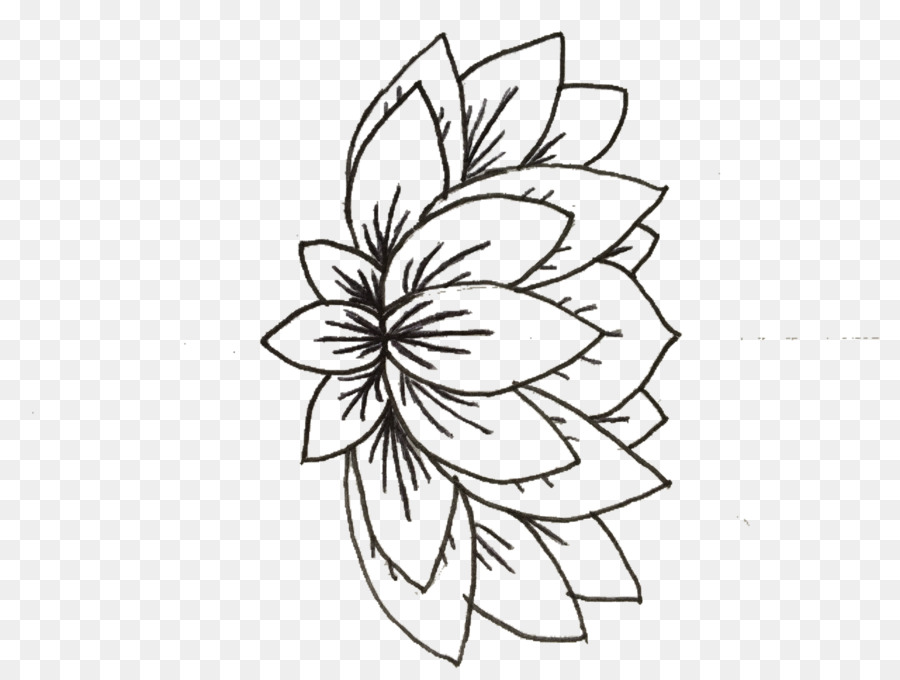 Diseño Floral，Flor PNG