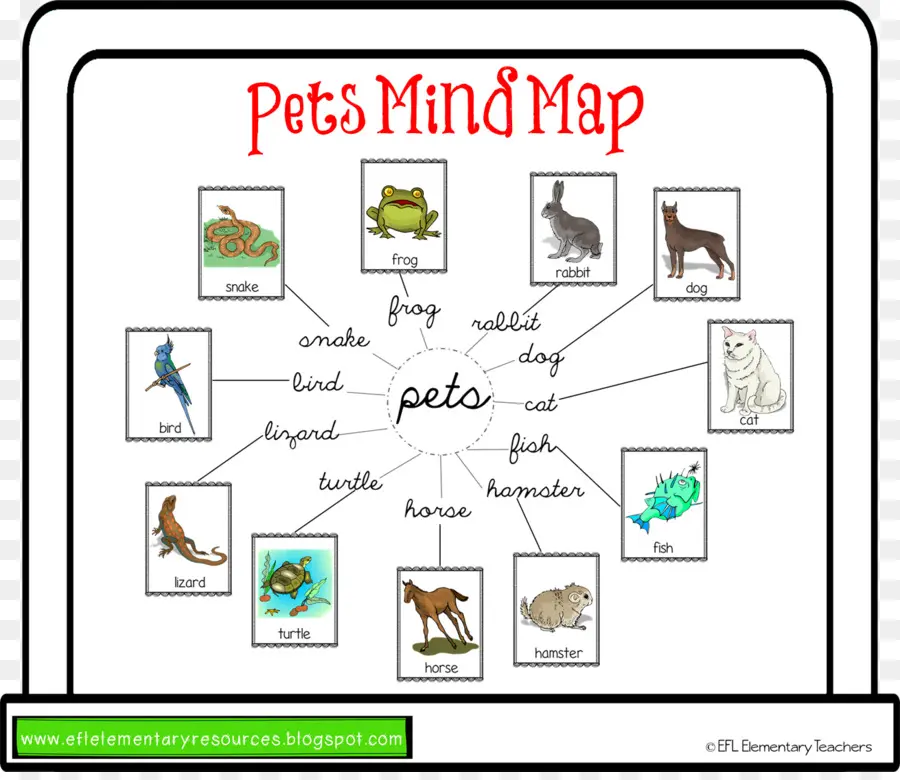 Aprendiendo，Mapa Mental PNG