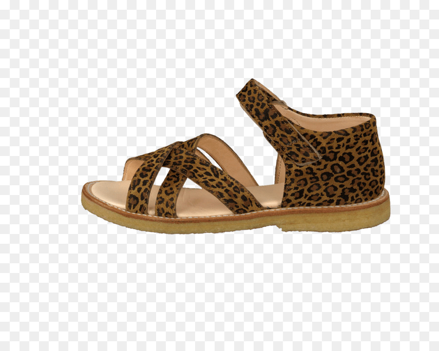 Sandalia，Zapatilla PNG