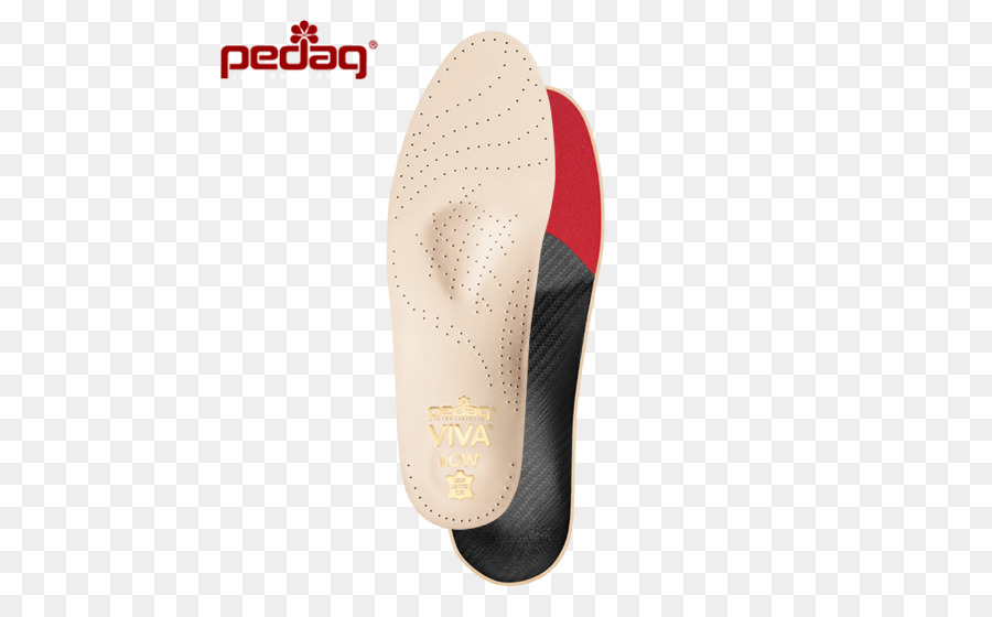 Plantillas De Viva Pedag，Zapatilla PNG