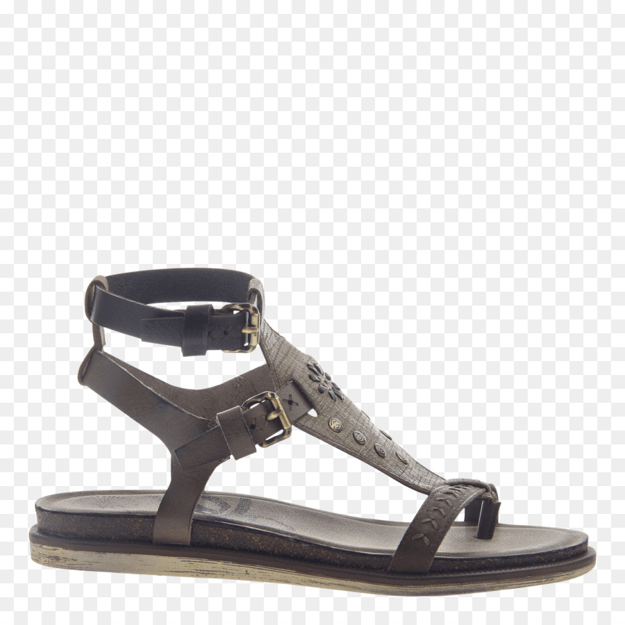 Sandalia，Zapato PNG