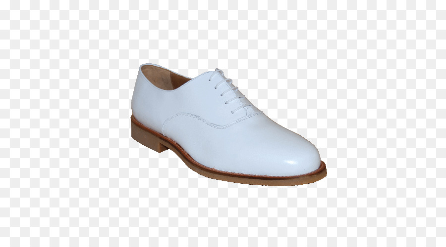 Zapato，Entrenado PNG