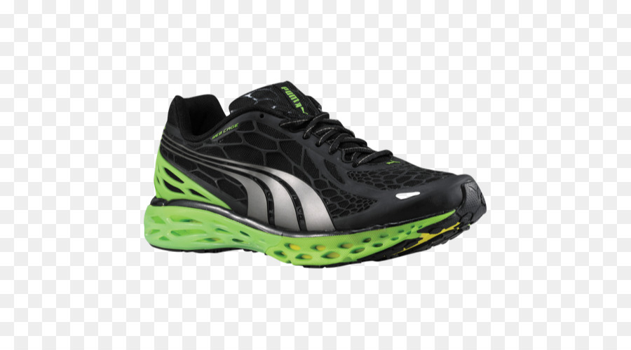 Zapatillas De Deporte De，Zapato PNG