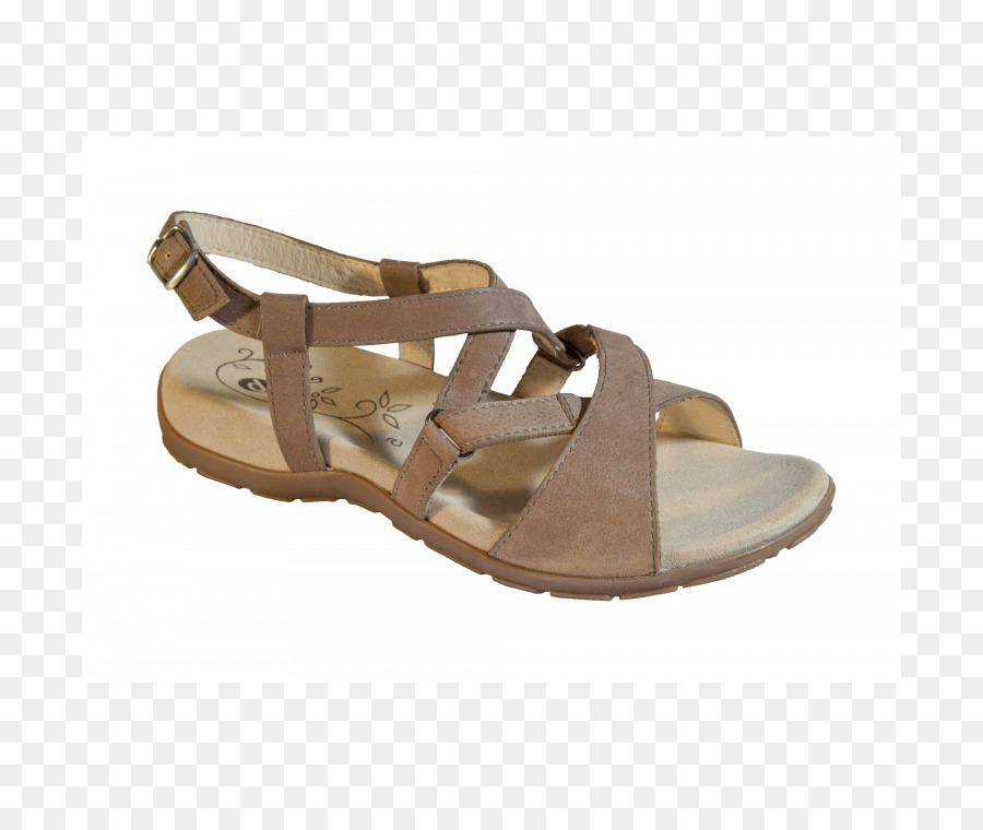 Sandalia，Zapato PNG