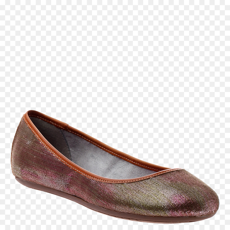 Plano De Ballet，Zapato PNG