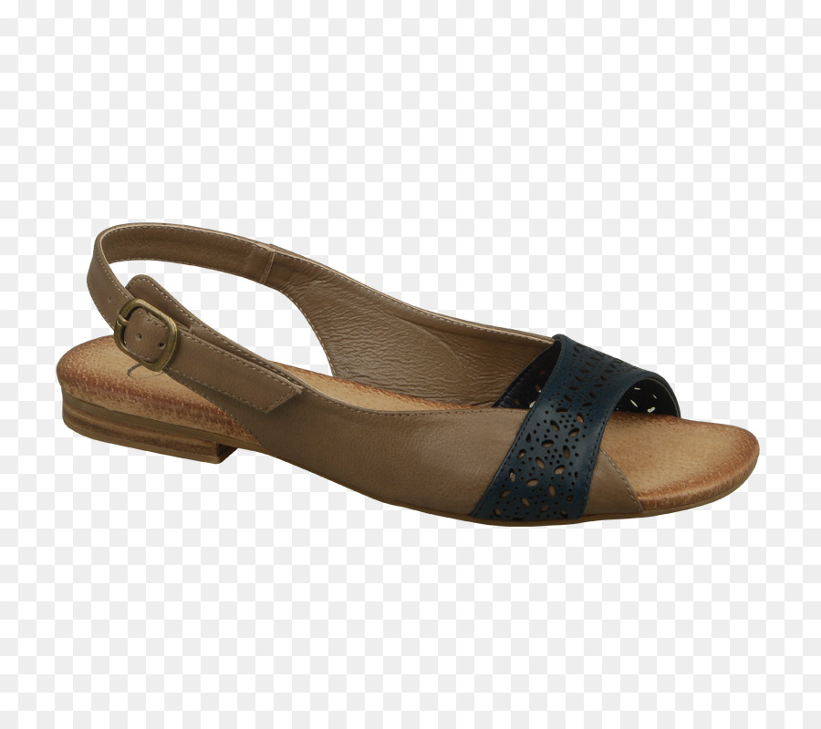 Zapato，Sandalia PNG