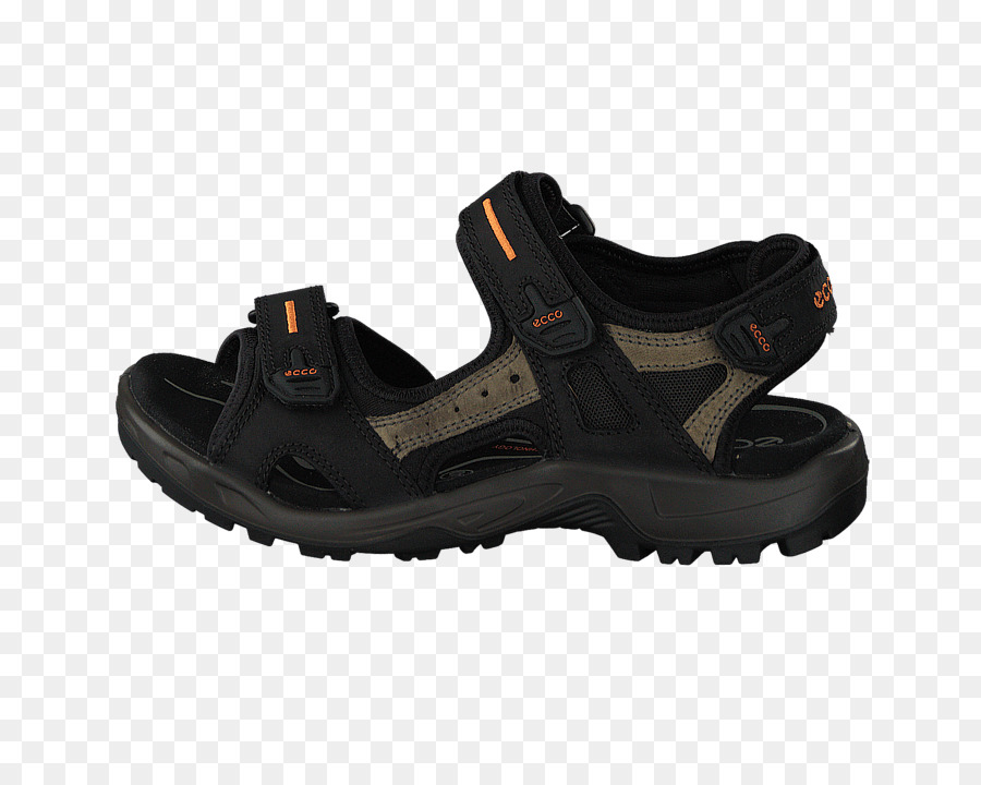 Sandalia，Zapato PNG