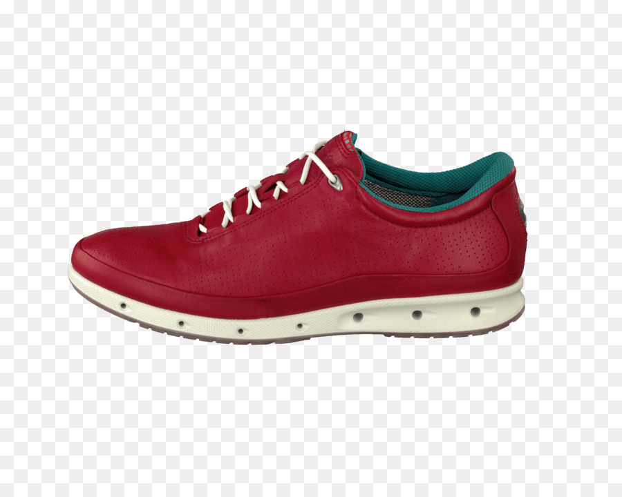 Zapato，Entrenado PNG