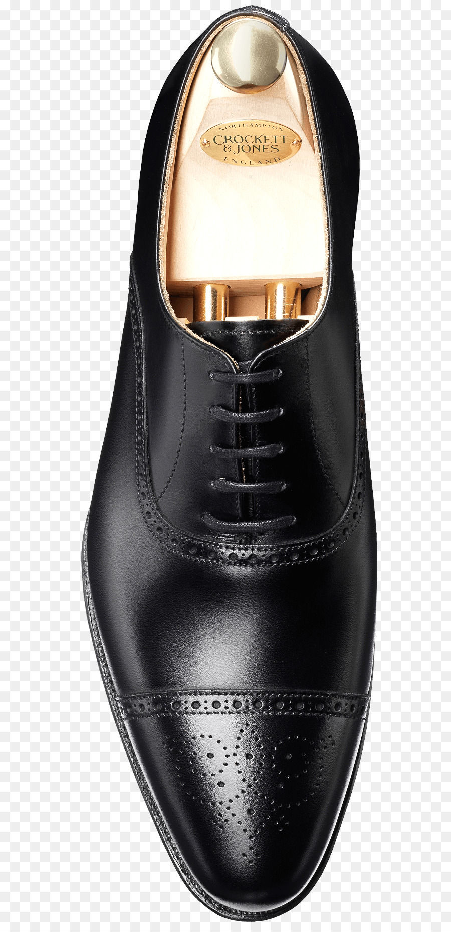 Zapato De Oxford，Cuero PNG