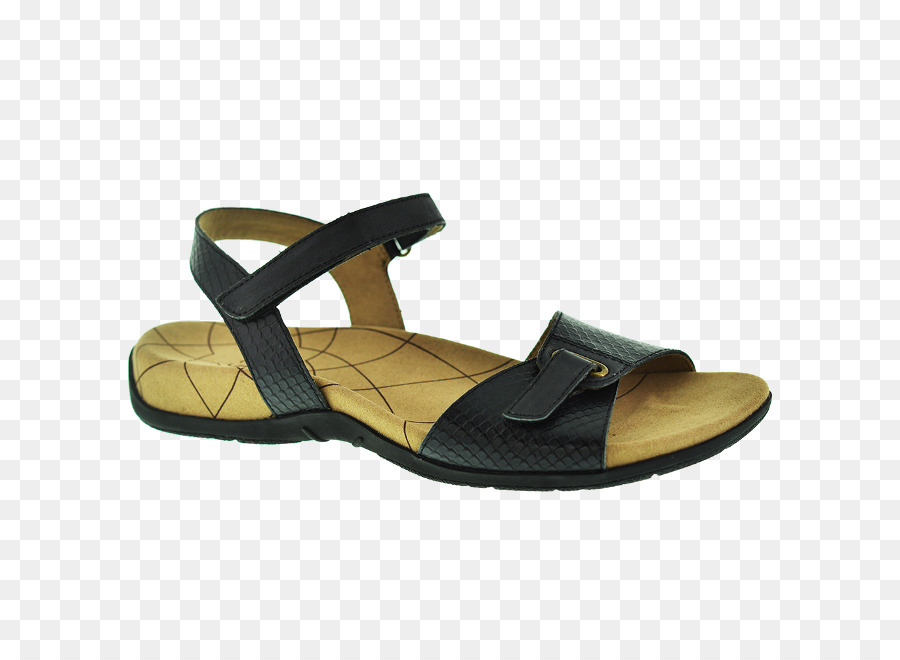 Sandalia，Zapato PNG