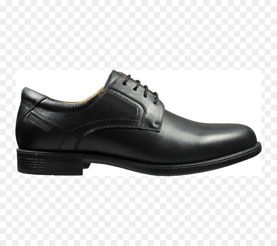 Zapato，Zapato De Oxford PNG