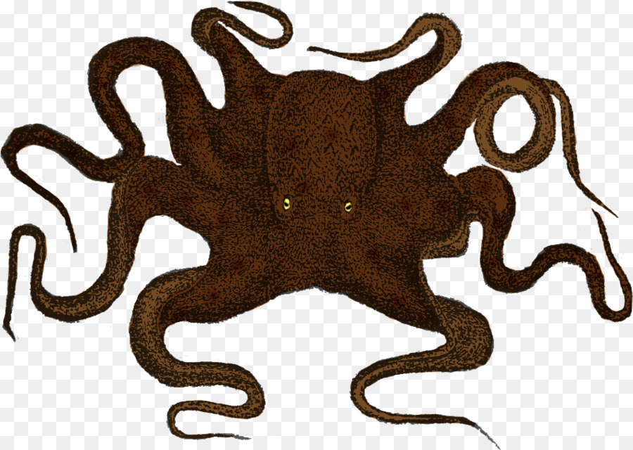 Kraken，Calcomanía De Pared PNG