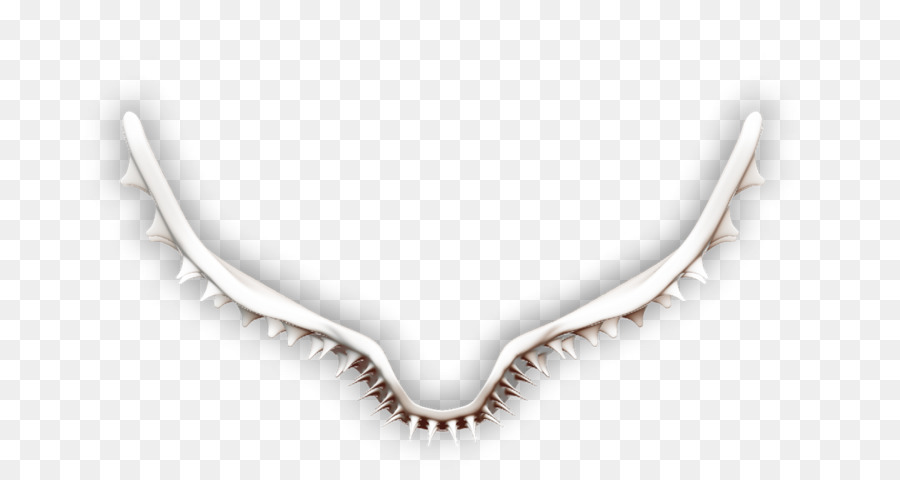 Collar，Joyería PNG